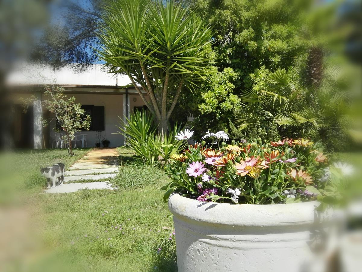 Missipezza Residence A Frassanito Alimini Exterior foto